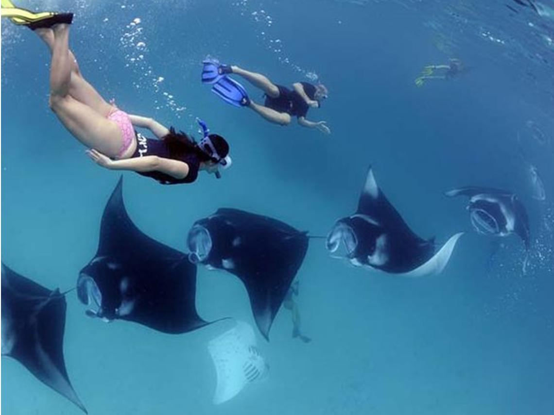 Nusa Penida: Snorkeling 3-4 Spot With Manta Ray