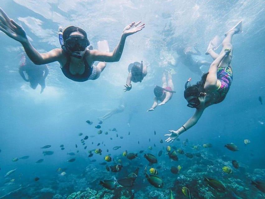 Nusa Penida: Snorkeling 3-4 Spot With Manta Ray
