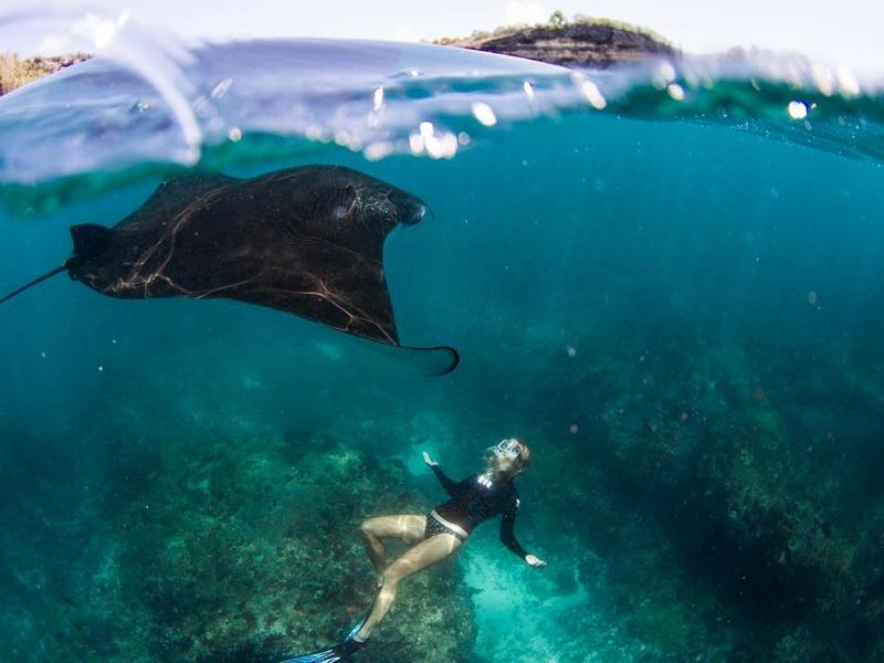 Nusa Penida: Snorkeling 3-4 Spot With Manta Ray