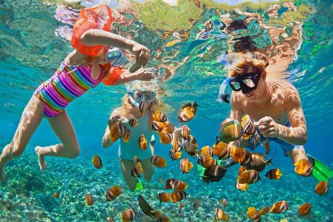 Nusa Penida: Snorkeling 3-4 Spot With Manta Ray