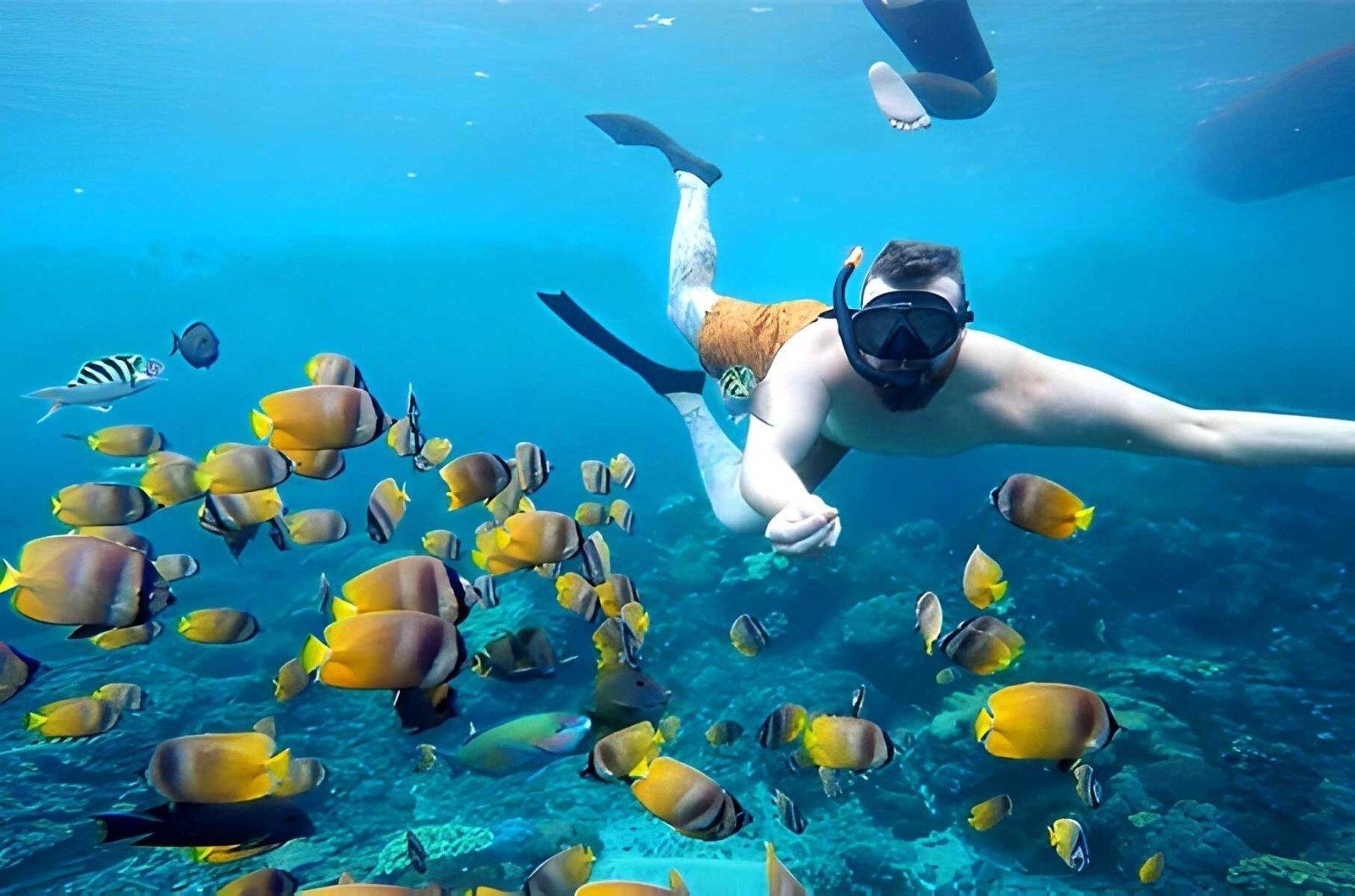Nusa Penida: Snorkeling 3-4 Spot With Manta Ray